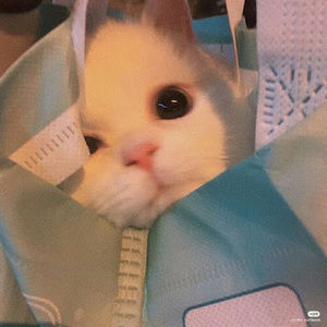 Meet your Posher, Julissa